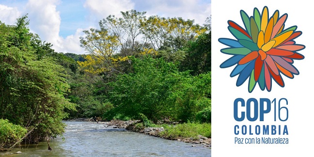 Forêt sèche tropicale autour du Río Maracas à Becerril, Cesar en Colombie