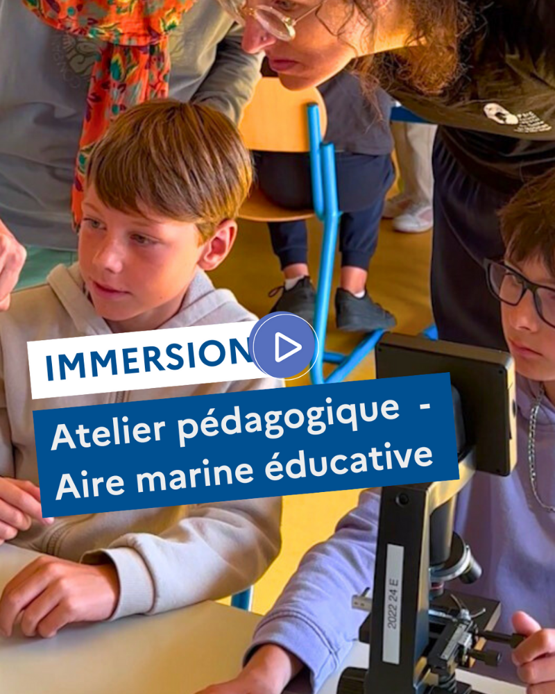 Immersion : Atelier pédagogique - Aire marine éducative